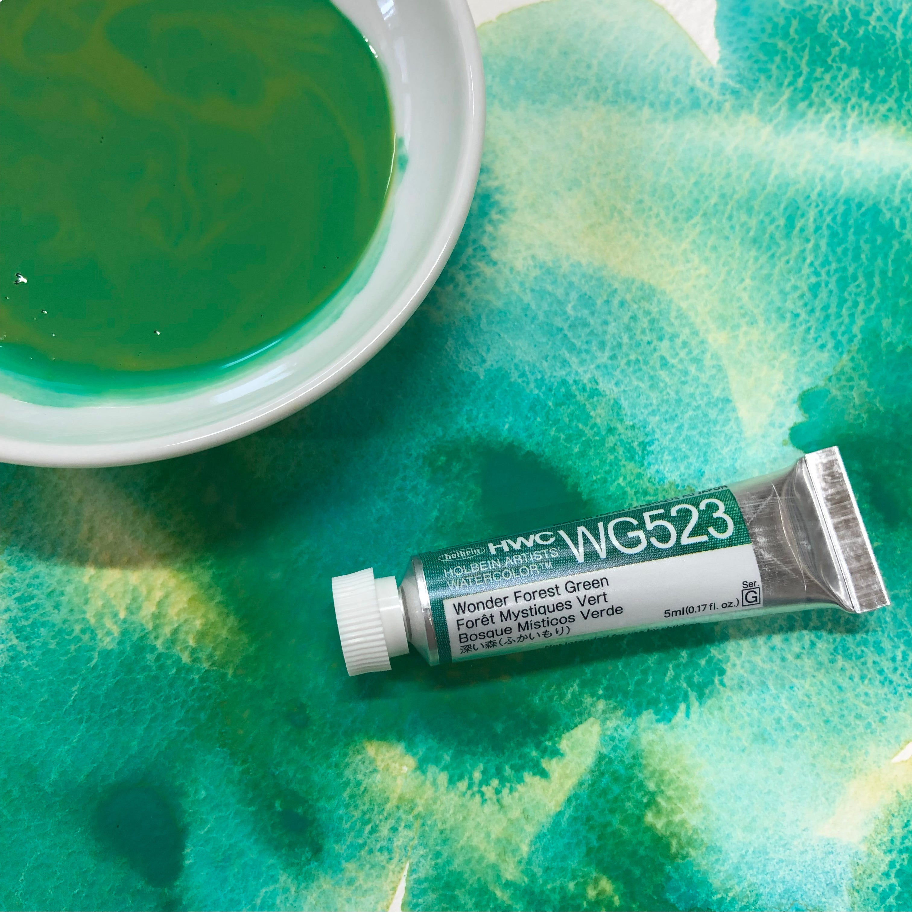透明水彩絵具 5ml ｸﾞﾗﾆｭﾚｰﾃｨﾝｸﾞｶﾗｰｽﾞ深い森 wg523 – 文具・筆記具