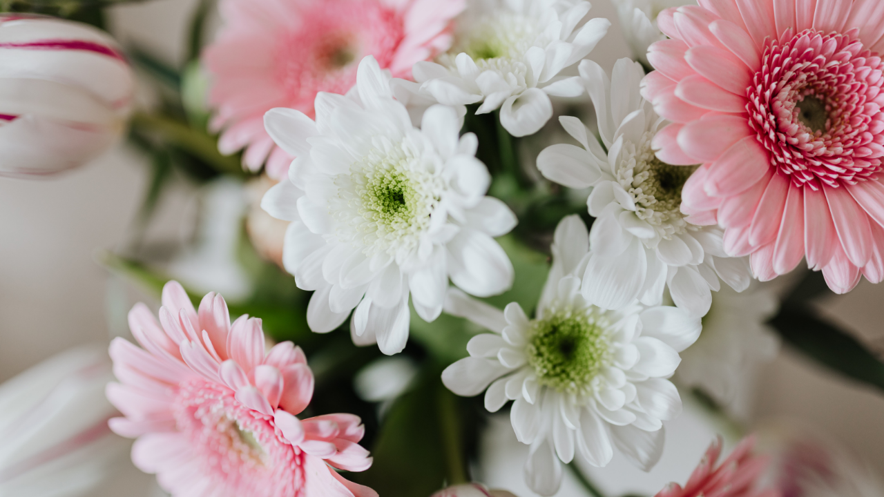 文具クワウチの母の日特集です