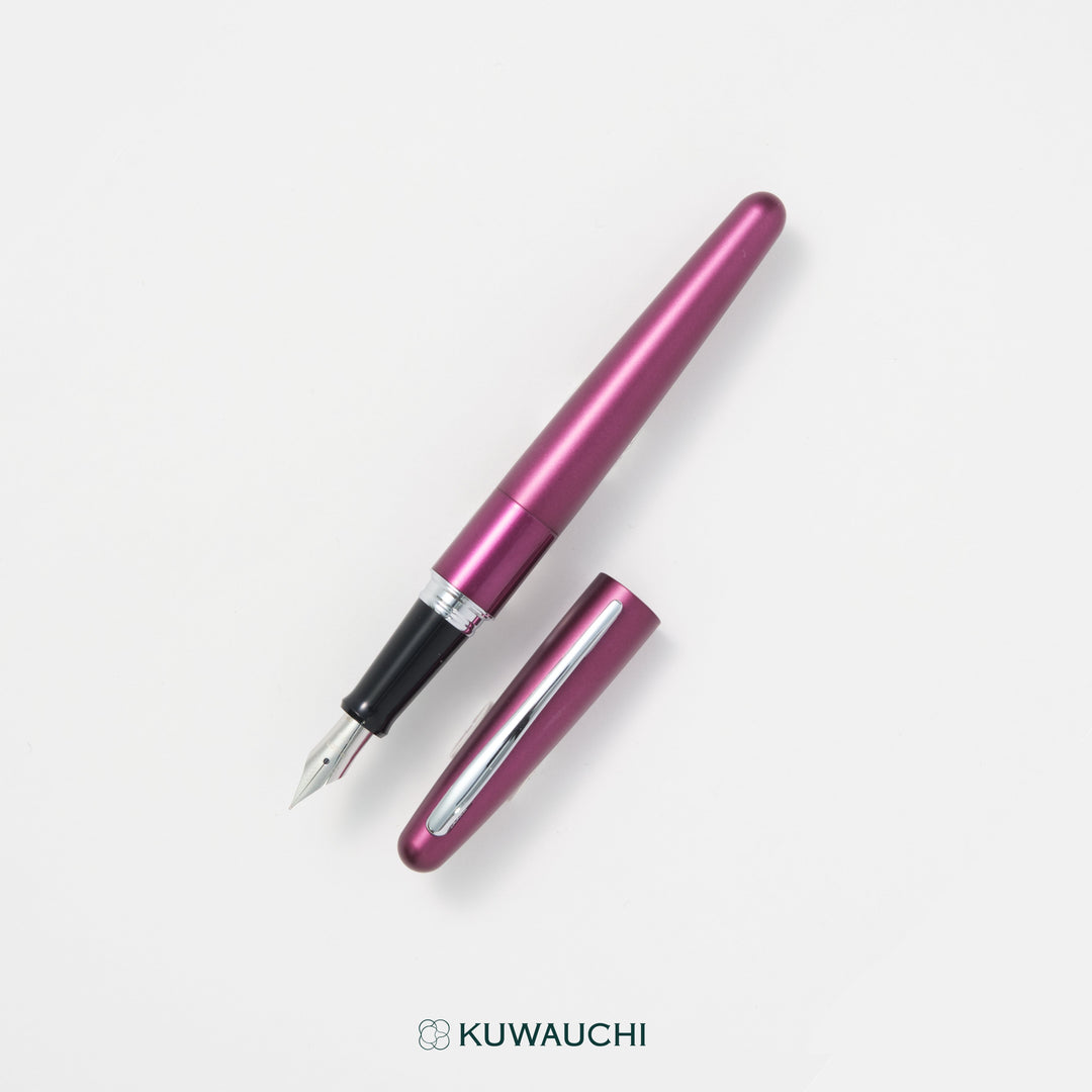 パイロット　万年筆　コクーン(FCO-3SR)のボルドー。