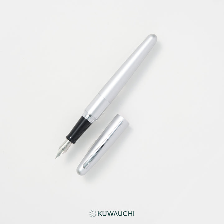 パイロット　万年筆　コクーン(FCO-3SR)のシルバー。