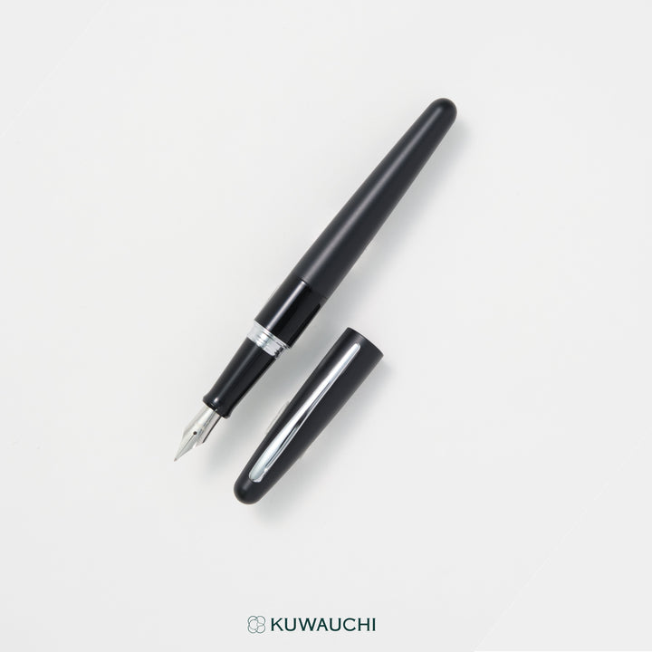 文具クワウチで販売するパイロット　万年筆　コクーン(FCO-3SR)全体像です。