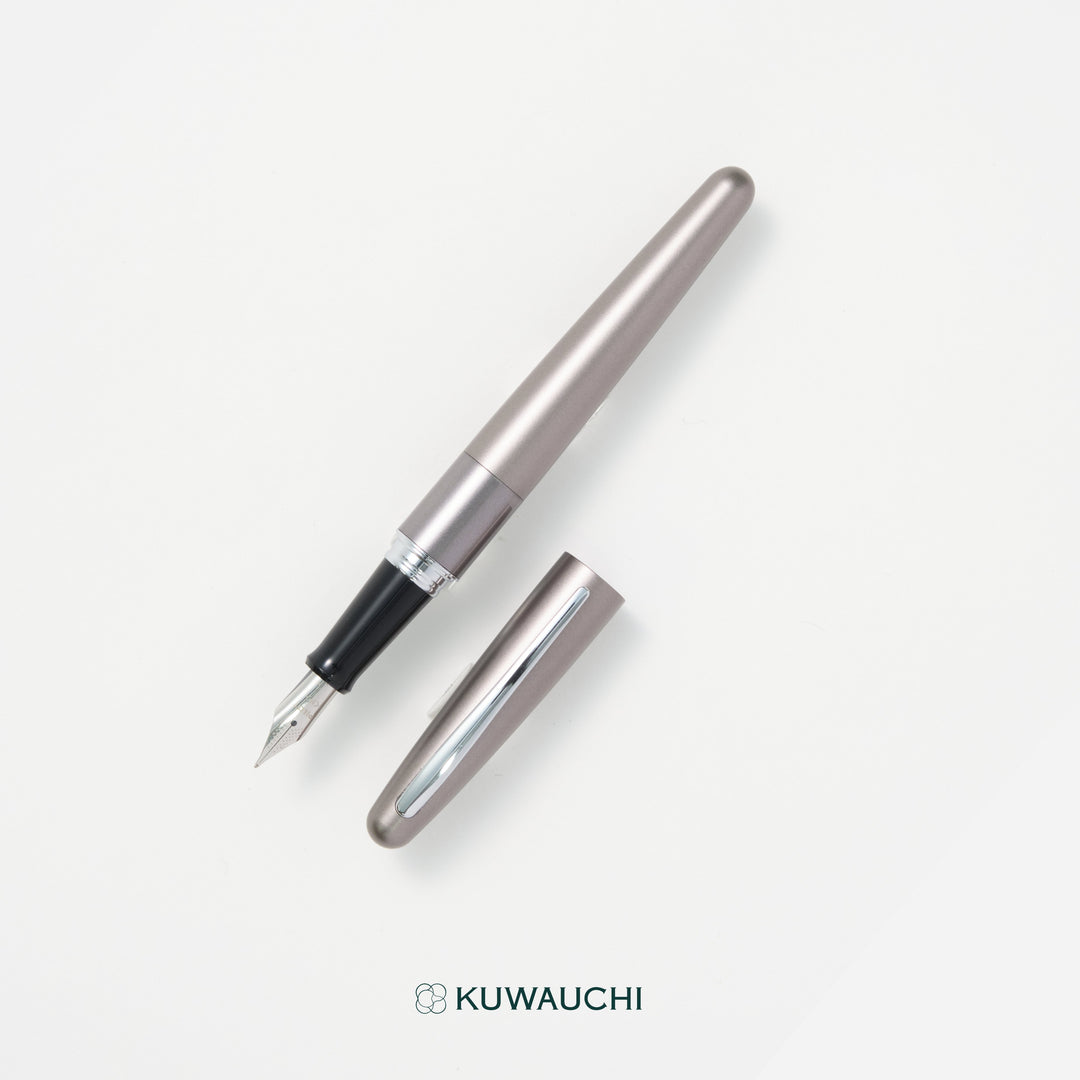 パイロット　万年筆　コクーン(FCO-3SR)のチタン。