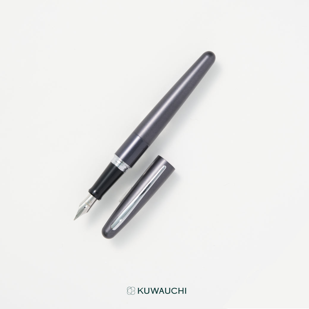 グレーの金属製万年筆 パイロット 万年筆 コクーン(FCO-3SR) – オンラインショップ 文具